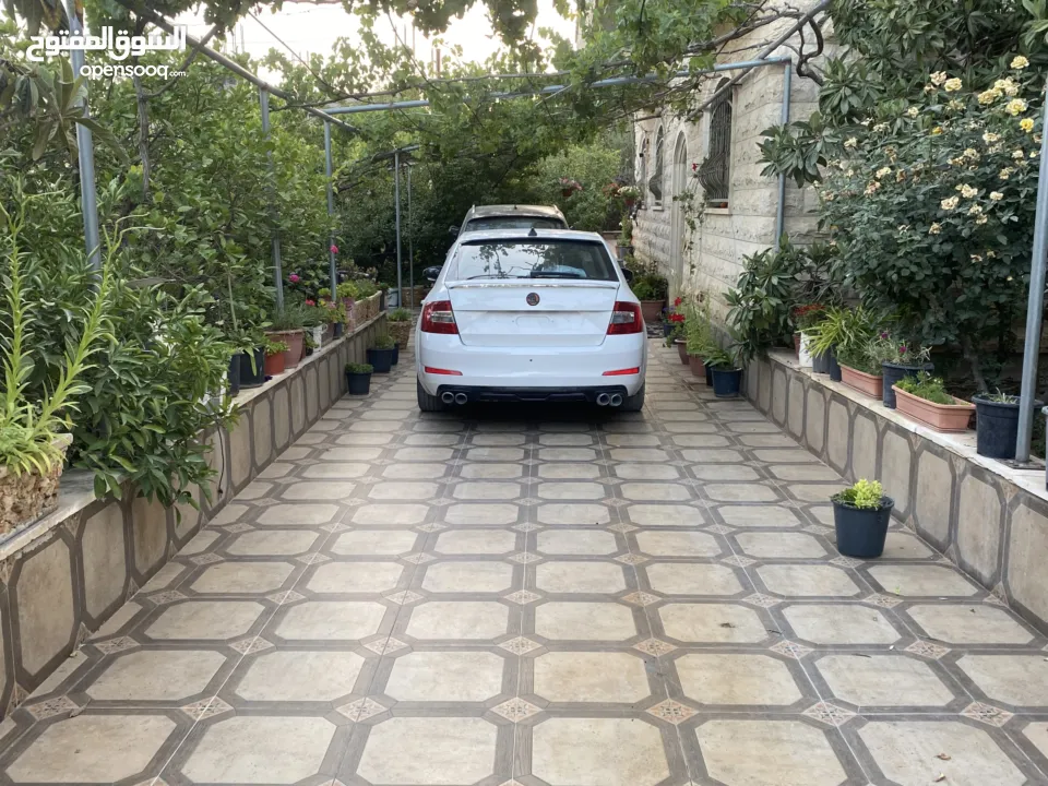 اوكتافيا 2014