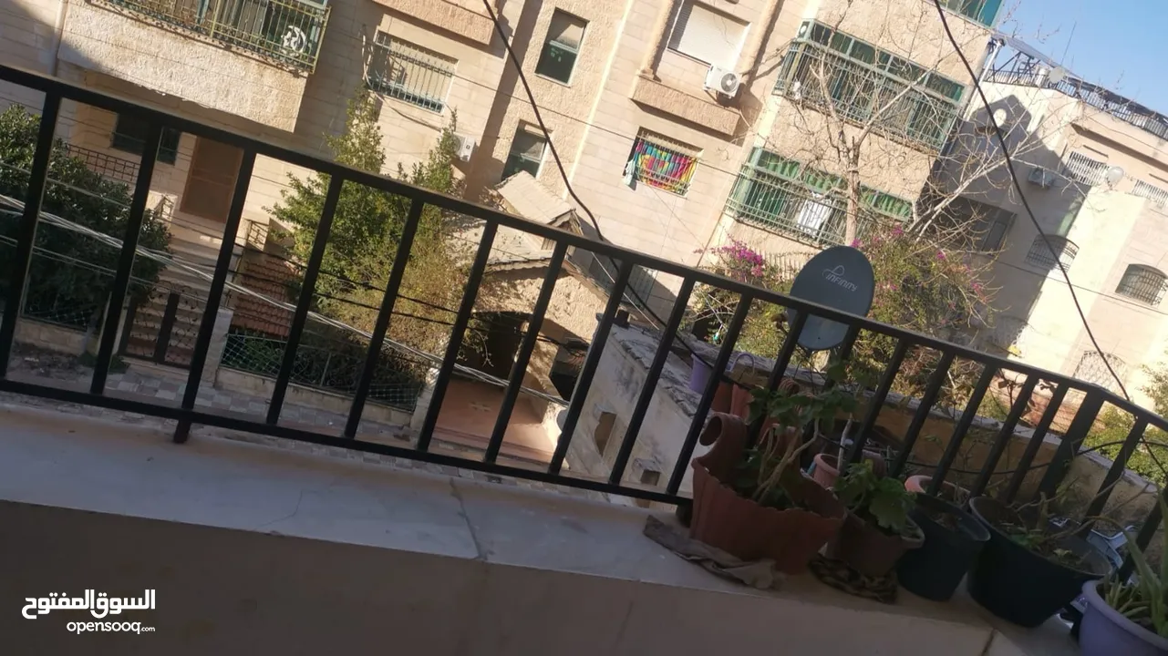 شقه للبيع اربد إشارة الاسكان بجانب محلات شو حلو