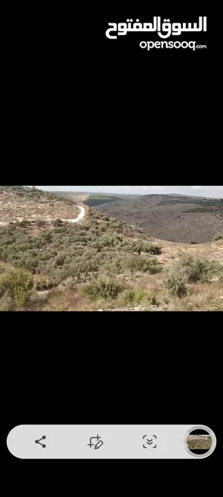 ارض في كفر راعي مساحه 117دونم