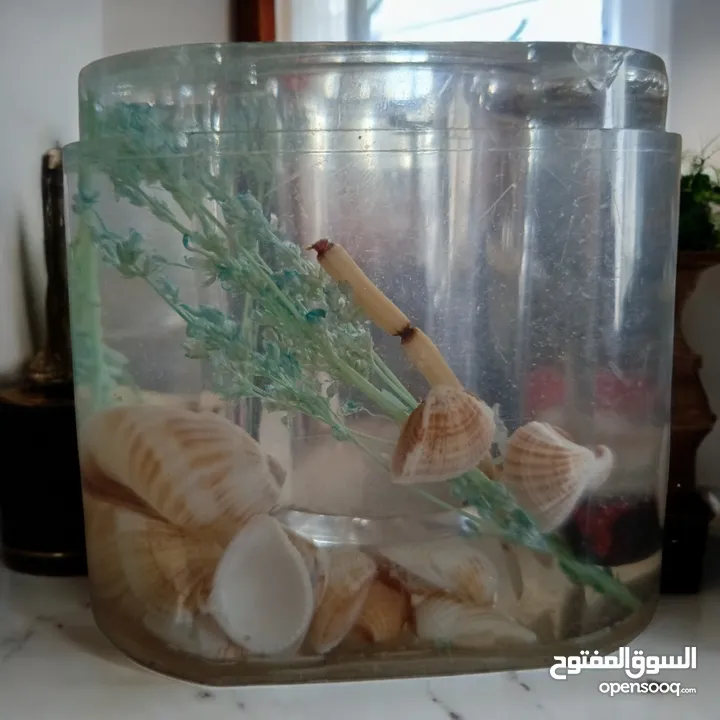 بازااااار الدينااااار اي قطعه بدينار واحد فقططط