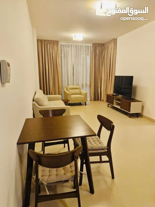 Fully Furnished 1 Bedroom Apartment