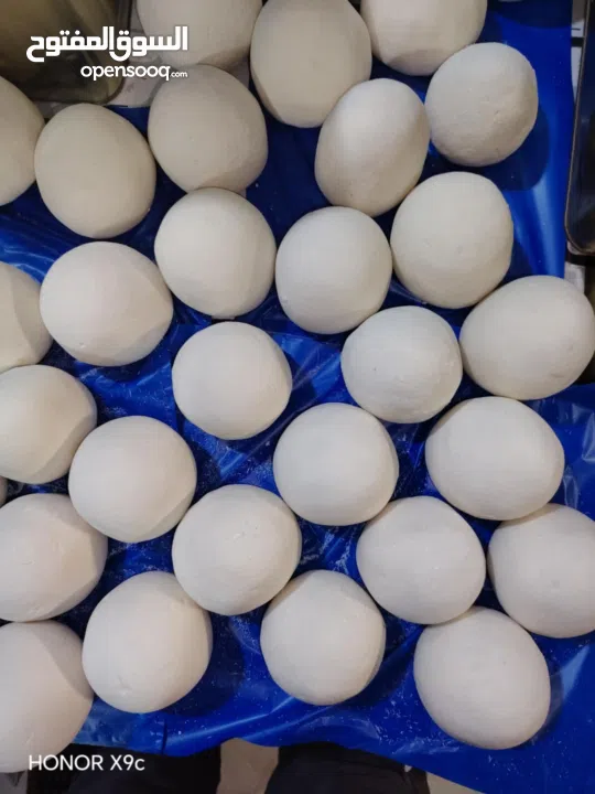 لبن غنم طازج ونظيف شغل ألف ألف