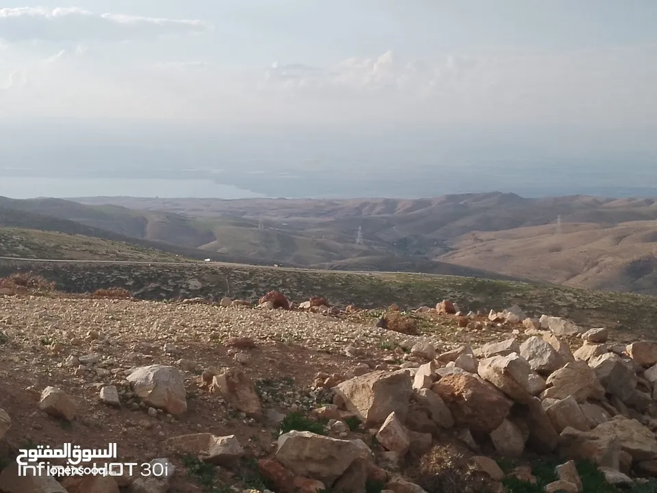 مادبا ماعين قطعة أرض زراعية مميزة مطلة على البحر الميت والضفة الغربية بمساحة 21 دونم
