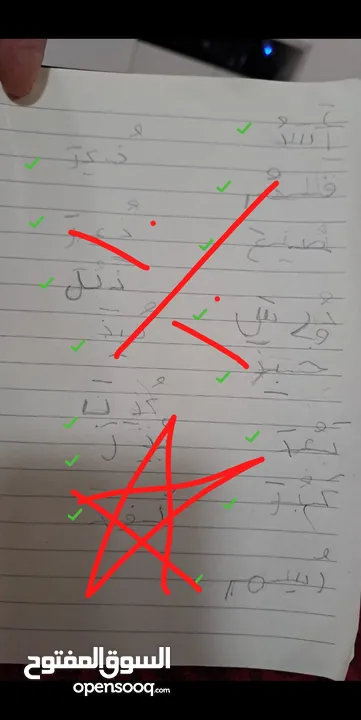 تدريس مادة اللغة العربية ( ابتدائي) خبره خمس سنوات في مجال التأسيس والصفوف الأولية
