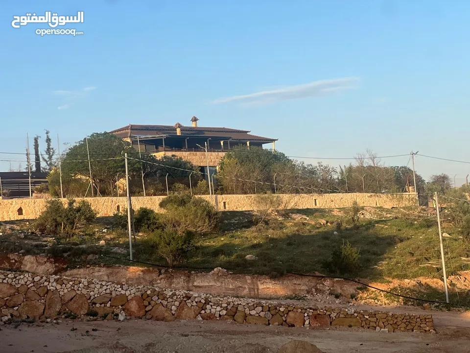 ارض للبيع جرش المجدل راس دبوس مطله على سد الملك طلال مستويه مستصلحه بسعر مغري