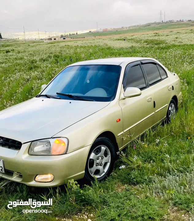 فيرنا 2001