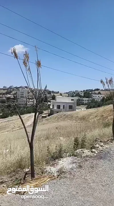 ارض سكنيه للبيع - السرو -حوض البشيري - خلف جامعة عمان الأهليه -منطقة جميلة
