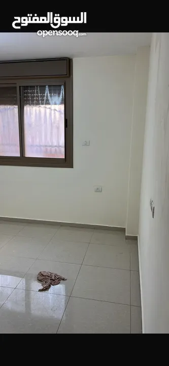 شقة طابق اول للايجار