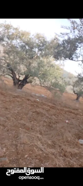 قطعة لرض للبيع