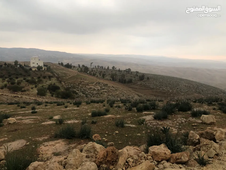 ارض في منطقة عراق الامير تحديدا ام المدارس