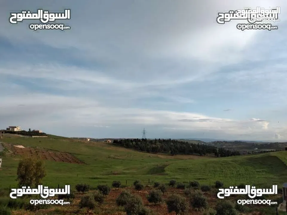 ارض للبيع مساحه 3 دنمات و 400م  مفروزه قزشان مستقل من المالك