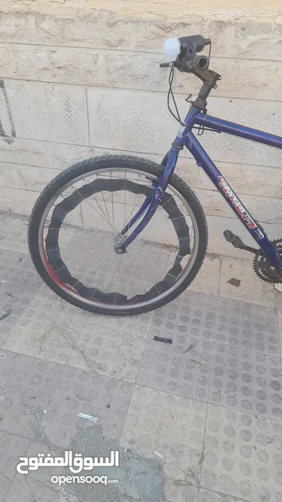 بسكليت للبيع بسعر طري