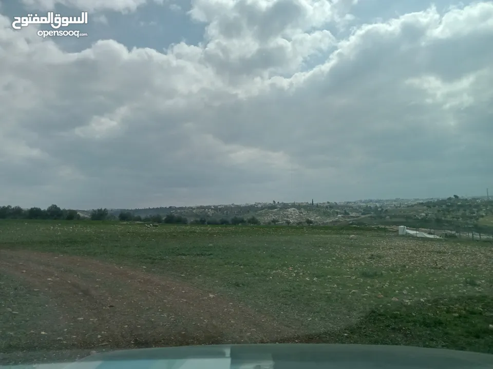 ارض سكنيه قرب مثلث حور فوعرا للبيع بسعر مغري