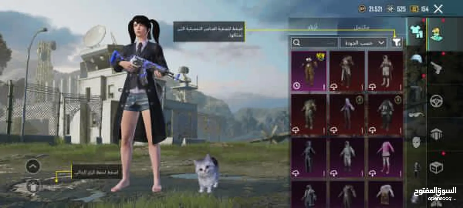 حساب ببجي بـ 30 دينار من سيزون 4 (قابل للتفاوض)