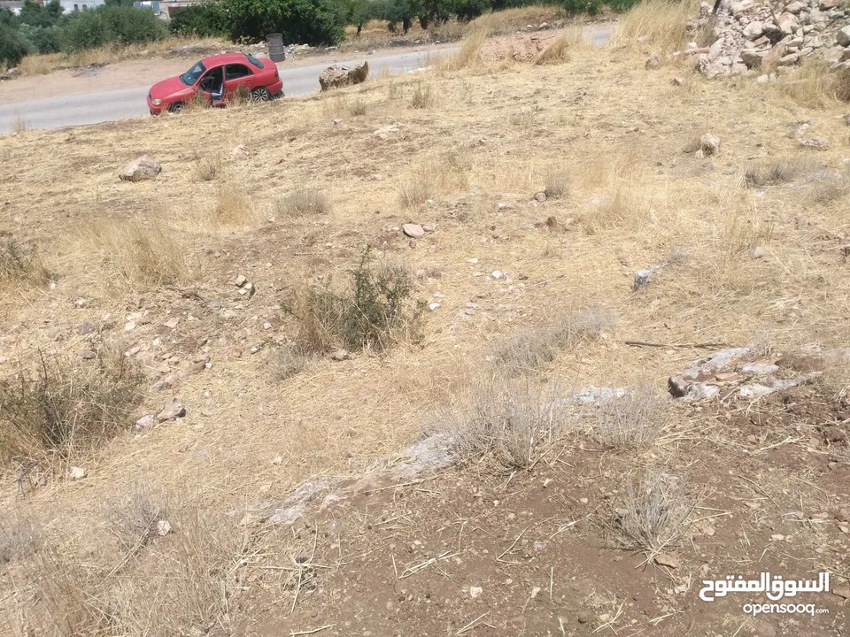 ارض للبيع في عجلون (صخرة)