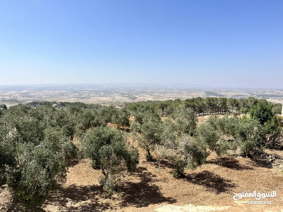 قطعة ارض للبيع مميزه ومطلة المساحة 4,609