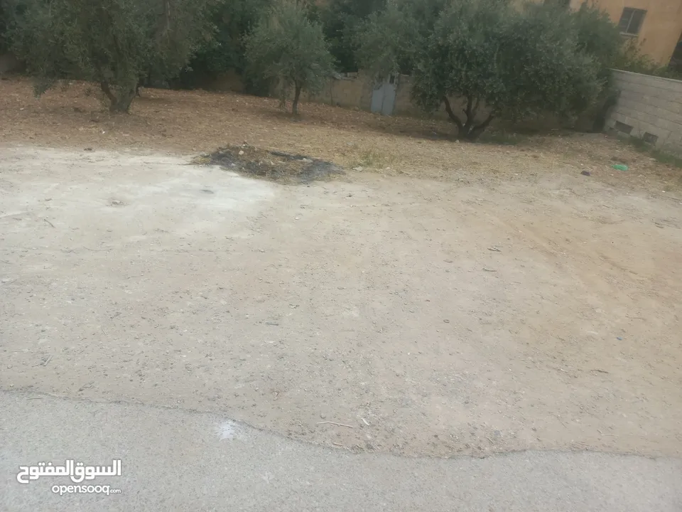 قطعت ارض 220
