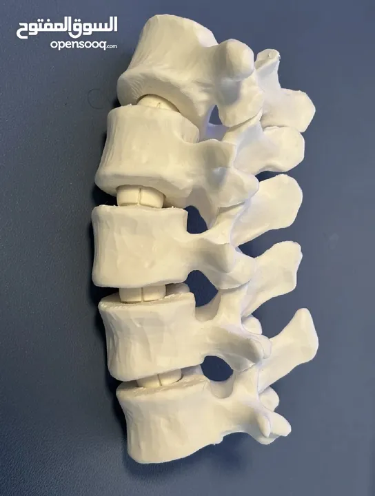 مجسمات 3D  و احرف على اختيارك