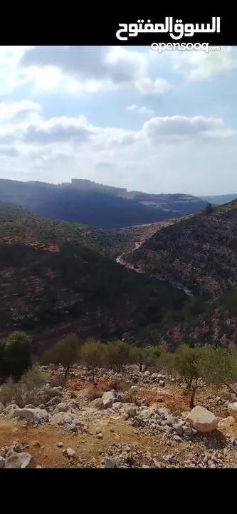 فرصة استثمارية في مدينة روابي –