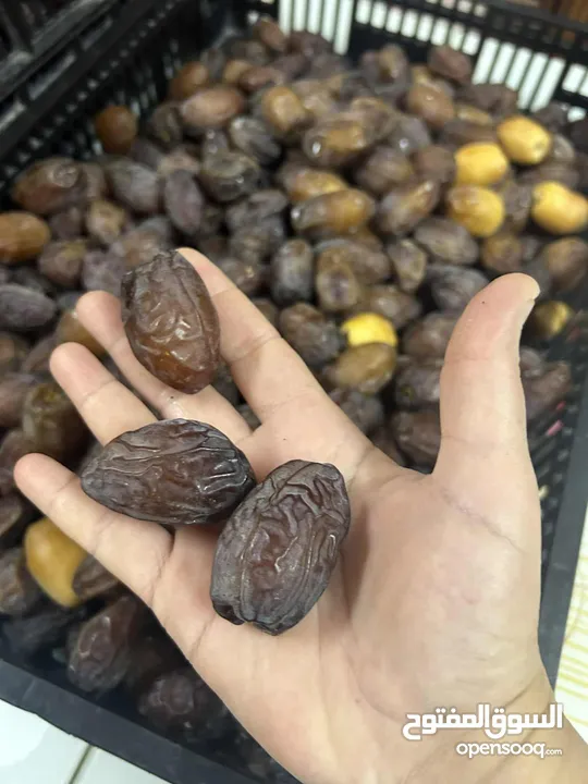تمور للبيع من أراضي مزارع أريحا