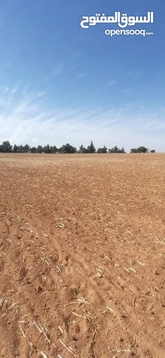 مادبا بجانب الجامعة الامريكيةمباشرة قطعة زراعيةمميزة بسعر 18 الف الدونم وبمساحة 3750متر واصل الخدمات