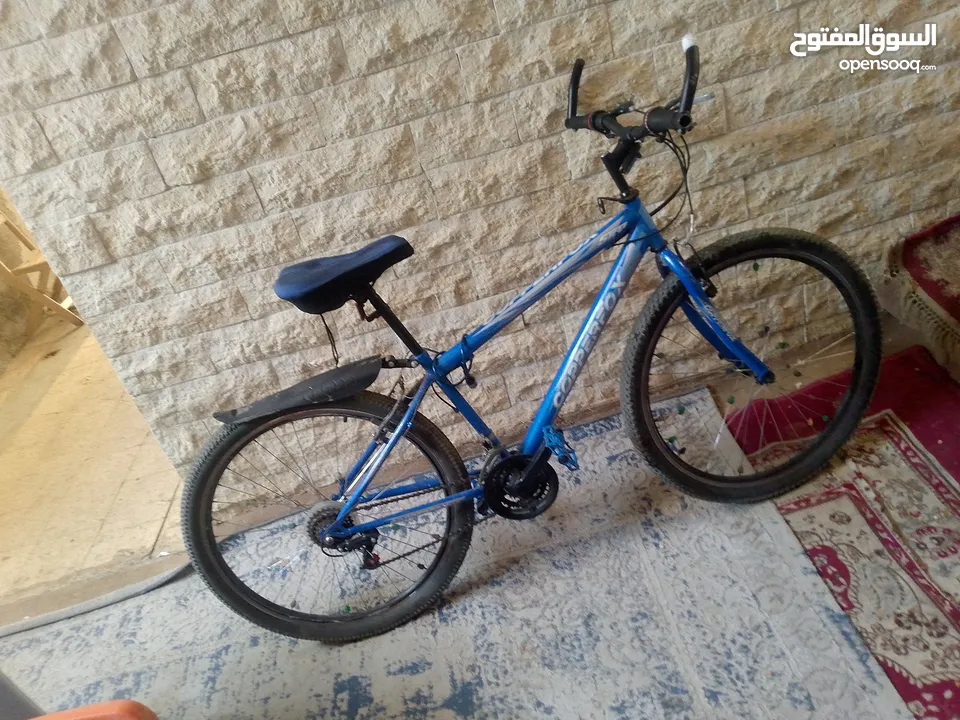 بسكليت بالصلاة على النبي