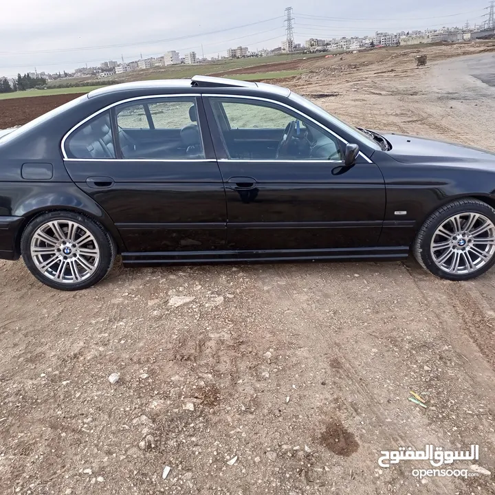 بي ام e39 الدب