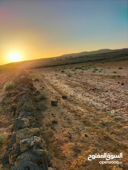 ارض للبيع بسعر ممتاز