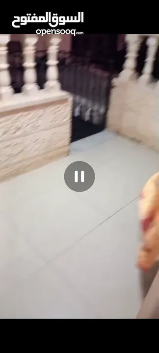 شقه مؤثثه مدخل خاص للإيجار