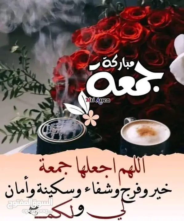 عدة محل دراي كلين للبيع نورڤا اوتوماتيك ايطالي-عصارة حرامات امريكي بابا علوي-غسالة حوضين-غسالتين فل