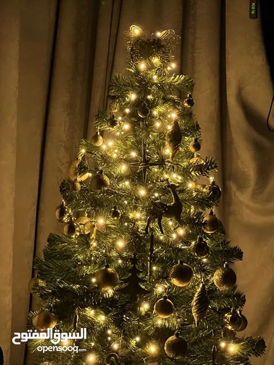 شجرة كريسماس