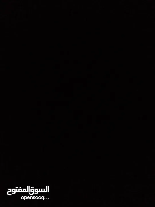 اذا يوجد خيل للبيع بسعر 230 أو تحت