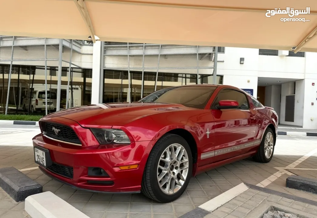 Mustang premium 2013