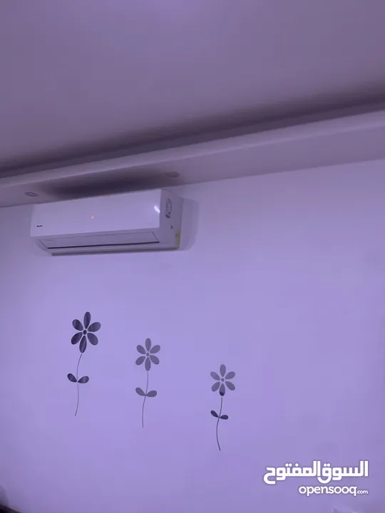 شقه بعرجان