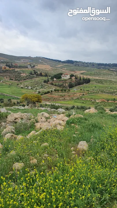 جرش عنيبه 4000 م بعد الحامعه على اليمين تبعد 3 كم عن شارع عمان من اميز مواقع عنيبه مستويه مجاوره لفل