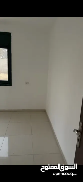 شقة للايجار