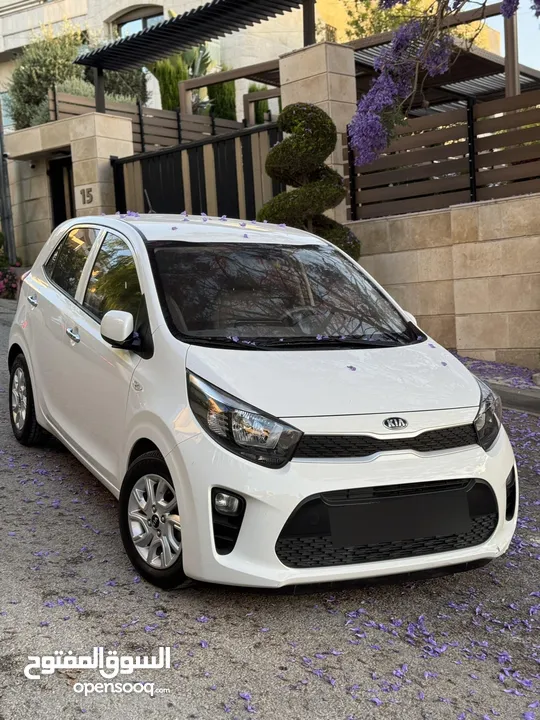Kia picanto