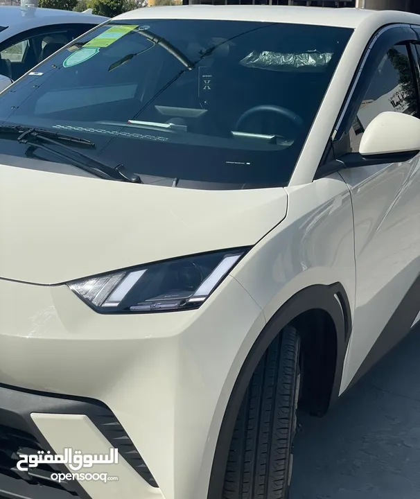 BYD Seagull2024