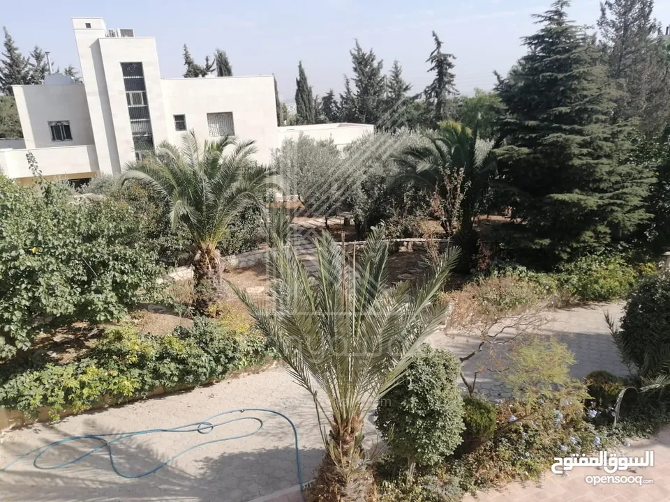 Luxury Villa For Rent In Abdoun