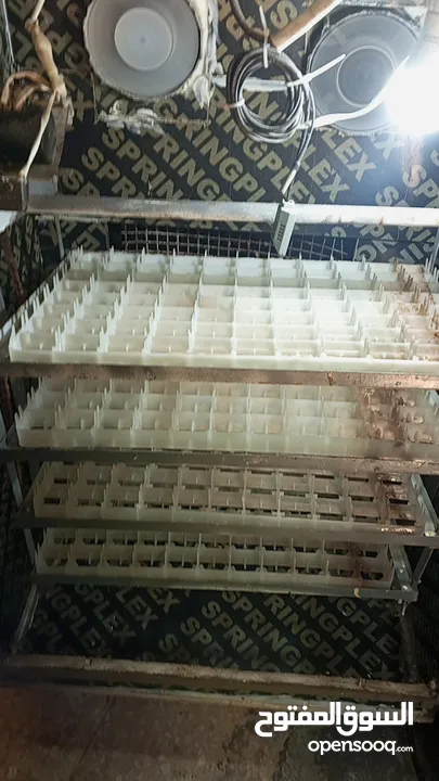 فقاسه فل اتوماتيك للبيع