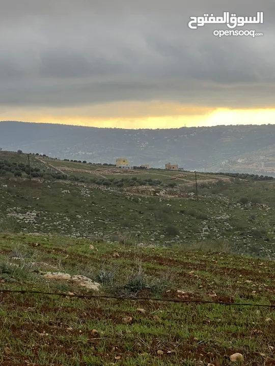 ارض للبيع في جرش الكفير بجانب عنيبه 3400متر مفروزه بقوشان مستقل مطله اطلاله عالغرب والجنوب