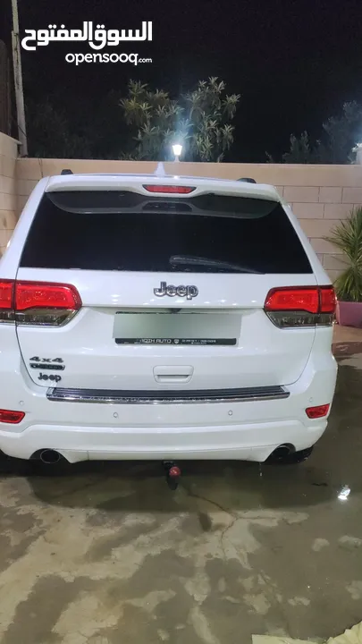 جيب فل كرتونه