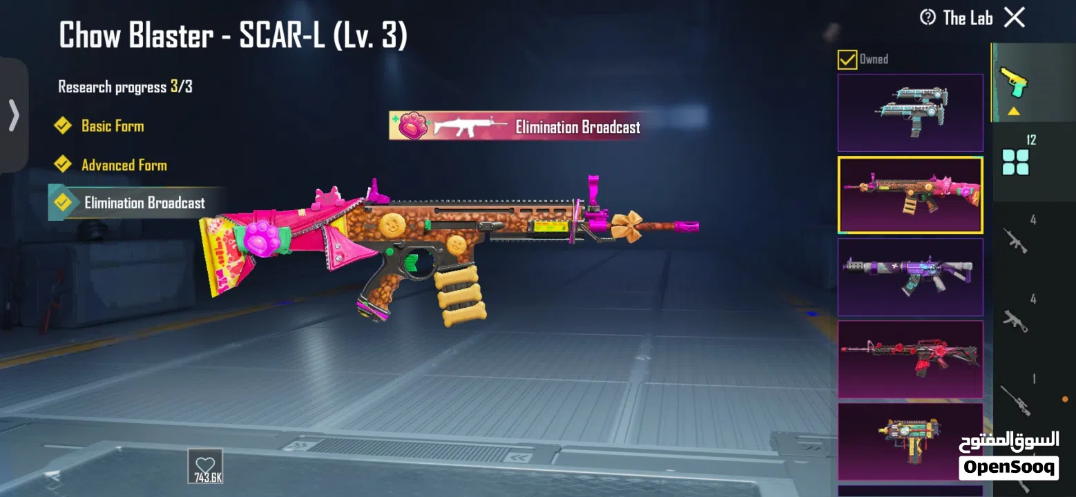 Pubg account 10BD 51 collection