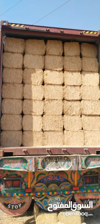 قش القمح للبيع بالجمله Wheat straw