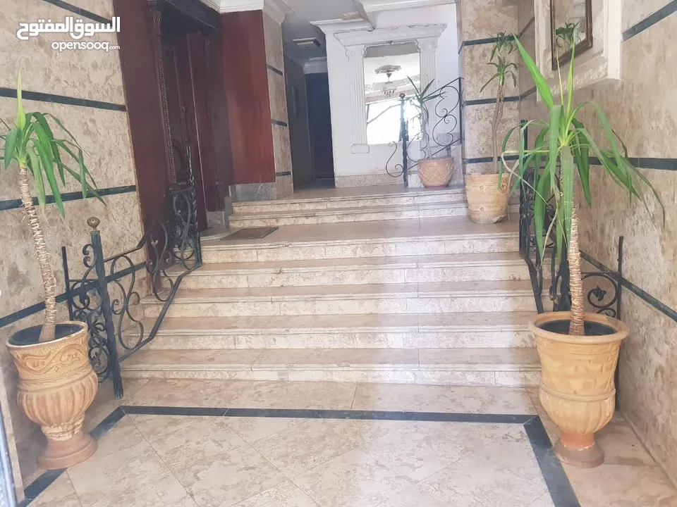 furnished Apartment for rent in zahraa el maadi شقة مفروشة للإيجار في زهراء  المعادى