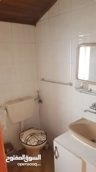 شقه مفروشه للإيجار بشارع وادي معالي / مار شيربل  Furnished Roof Apartment for Rent