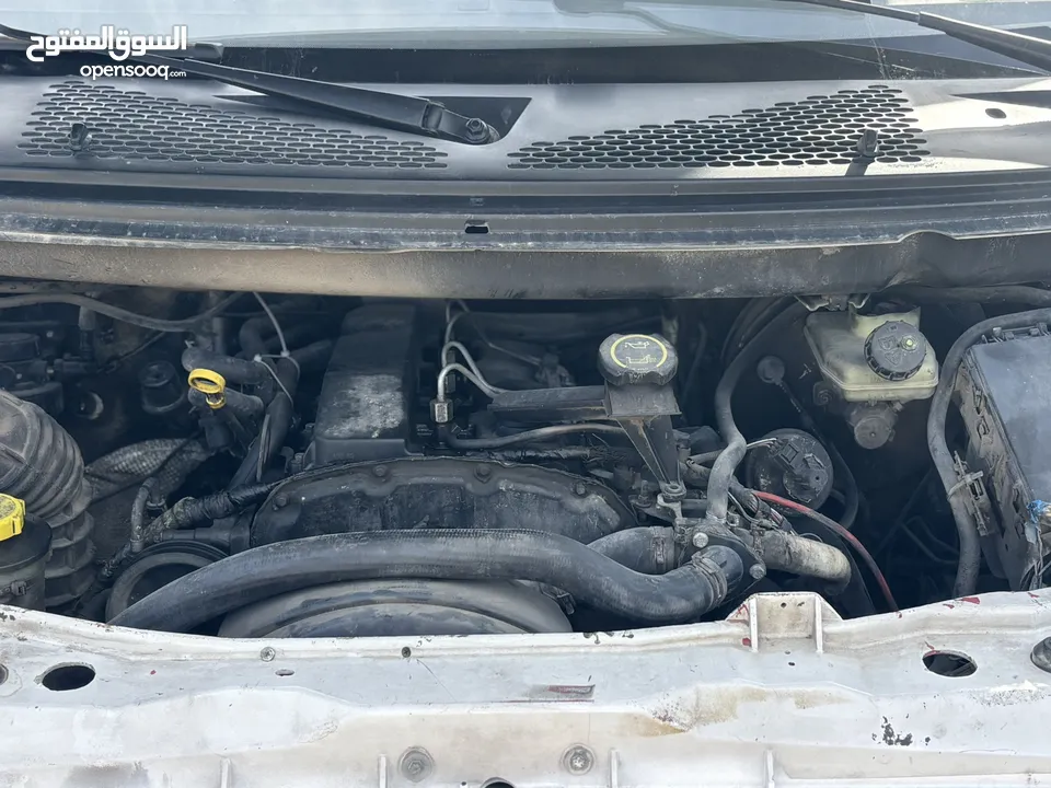 احمد الديك بيتونيا