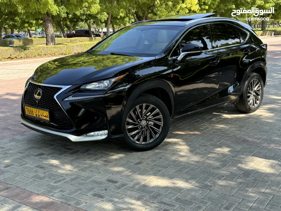 2015 Lexus Nx 2.0T full clean