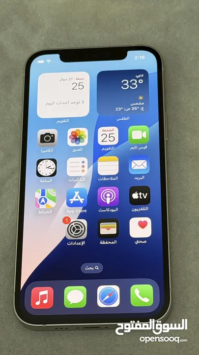 Regular iPhone 12