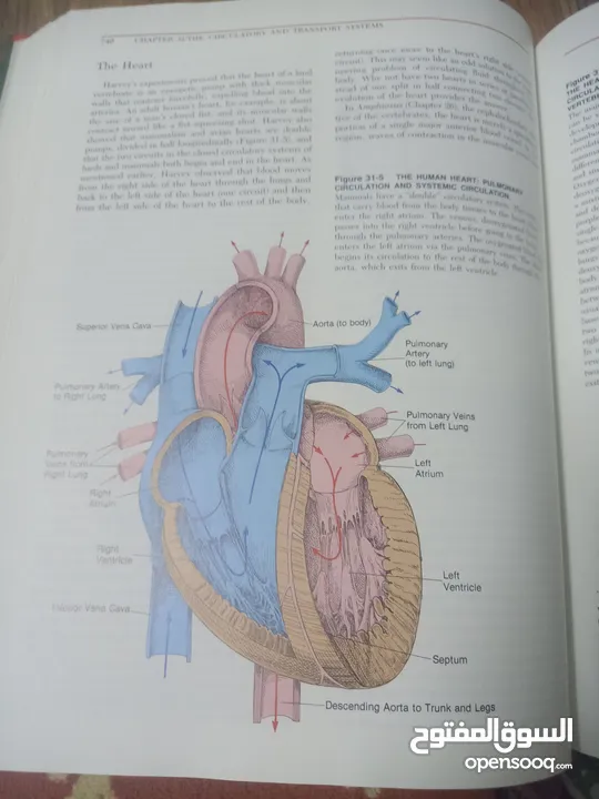 كتاب بعنوان biology